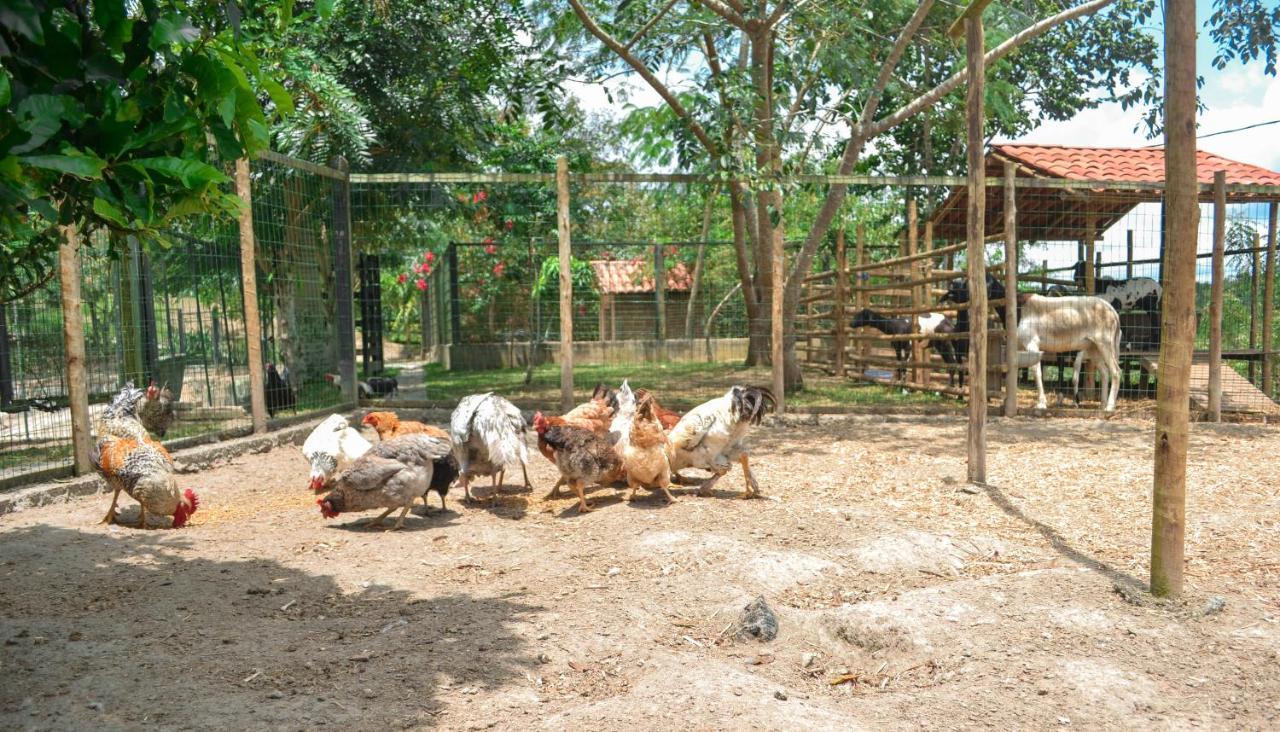 Villa Chacara Maluco Beleza 2 Gravatá Exterior foto